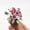 B, variante sur EGNMCR Plante Verte Artificielle 1/12 pour Maison de Poupée Miniature Factice Fleur en Pot Jardin Poupées Miniatures Cadeaux d'Anniversaire pour Enfants