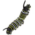 thumbnail image 4 of Funny Caterpillar Plastic Twisty Worm Model Insect Figurine Education Model Toy, 4 of 8