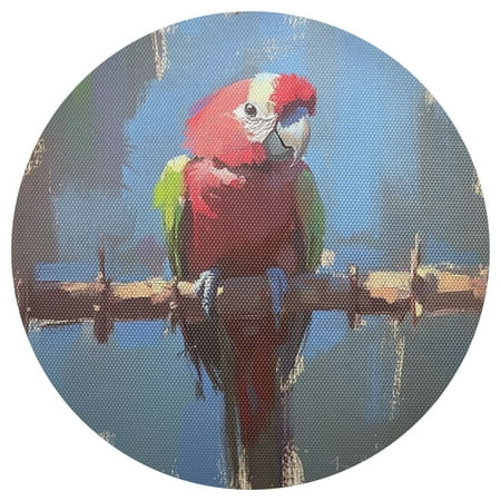 

Stylized Parrot 4-Piece 15.4in Heat-Proof PVC Plate Mats Easy Cut and Clean for Family Use