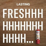 Old Spice Aluminum Free Dry Spray Deodorant for Men, Wilderness, 4.3 oz