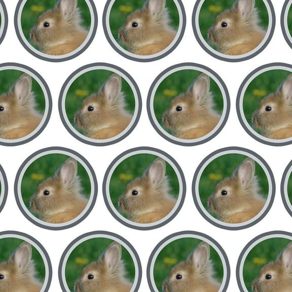 Bunny Rabbit Brown Tan Easter Premium Gift Wrap Wrapping Paper Roll