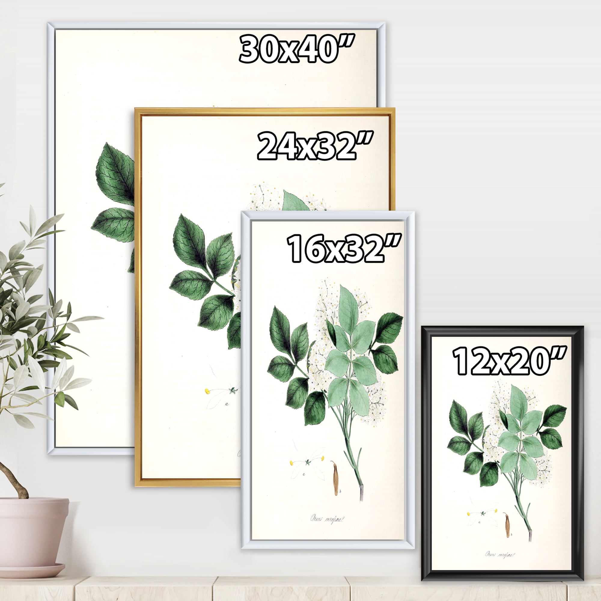 Designart 'Ancient Blossoming Flower IV' Farmhouse Framed Canvas Wall Art Print