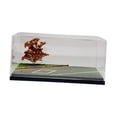 thumbnail image 3 of 1/64 车模场景展示盒仿真微缩模型成品地台minigt风火轮防尘收纳盒 秋季公路(150*77*70mm), 3 of 6