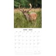thumbnail image 3 of Country Wildlife 2025 Square Wall Calendar, 3 of 3