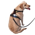 thumbnail image 3 of Lsque Scooby-Doo Dog Harness, No-Pull Pet Harness with 2 Leash Clips, Adjustable Soft Padded Dog Vest with Easy Control Handle for Large Dogs-Medium, 3 of 9