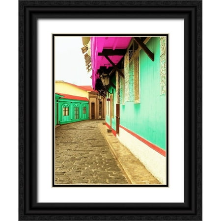 Coppel, Anna 19x24 Black Ornate Wood Framed with Double Matting Museum Art Print Titled - Island Trips