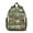 Cute Dinosaur Pattern-1, variant on Leopard Print Backpack Backpack for School,Cute School Bag,Schoolbag with Adjustable Shoulder Straps & Padded Back,13.8"x11.4"x6"