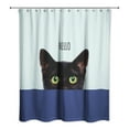 thumbnail image 2 of Creative Products Teal Striped Curious Cat  71x74 Shower Curtain, 2 of 2