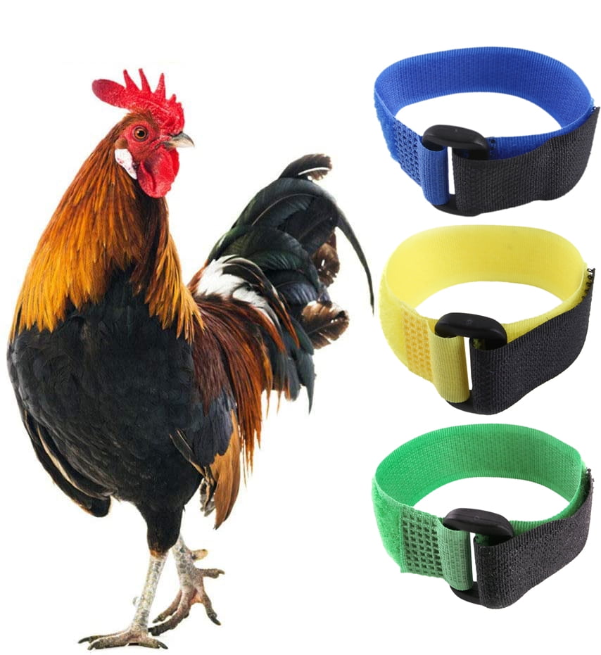 Walbest 2Pcs No Crow Rooster Collar, Chicken Collar AntiHook Noise