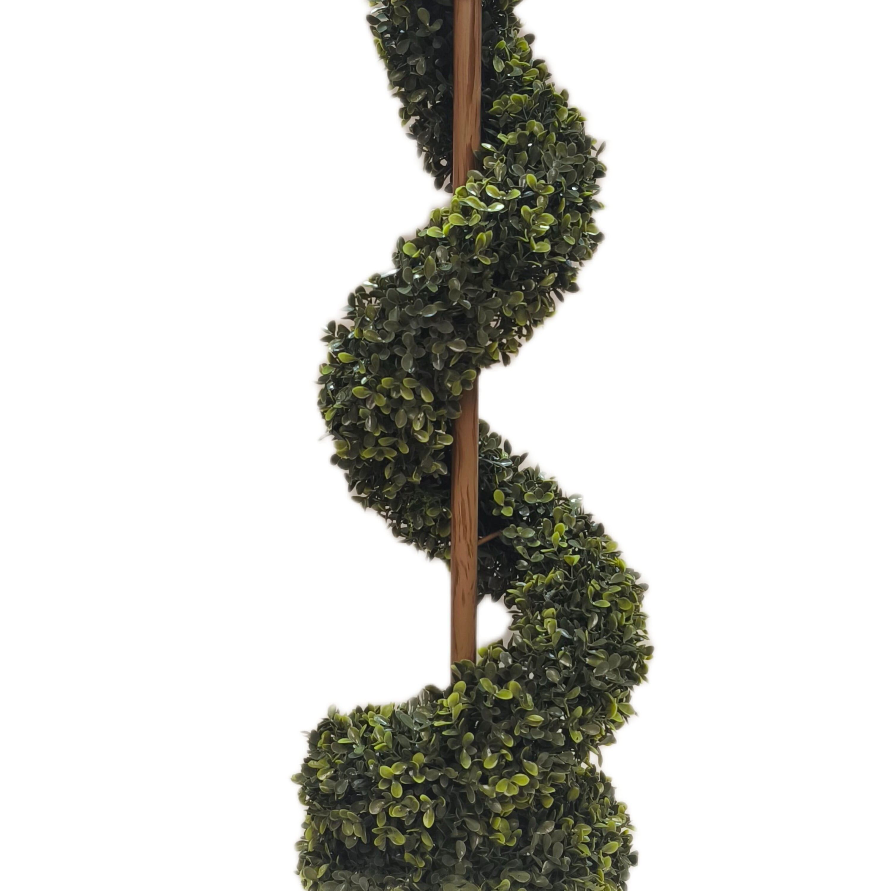 My Texas House 36" Swirl Boxwood Topiary