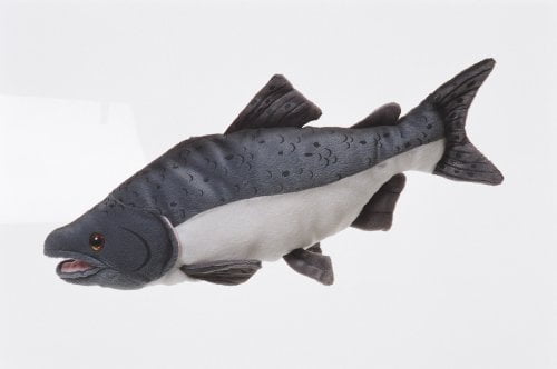 salmon plush