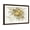 Brown Frame, variant on Art.com Abstract Chaotic Glittering Gold and Grey Bubbles. Fantasy Fractal Design. Digital Art. 3D Renderin Art Print by Klavdiya Krinichnaya, Black Frame Wall Art, 29" x 21"