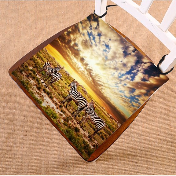 PHFZK Beautiful Sky Cloud Chair Pad, Safari Zebras Herd on Savanna at Sunset, Africa Seat Cushion Chair Cushion Floor Cushion Two Sides Size 16x16 inches