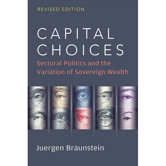 Capital Choices : Sectoral Politics and the Variation of Sovereign Wealth (Paperback)