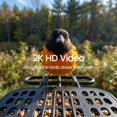 thumbnail image 4 of Comedero para pájaros Chirppie 2K HD con energía solar e identificación por IA, 4 of 8