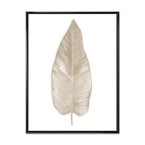 Designart 'Dried Leaf Plant Beige On White Background' Traditional Framed Canvas Wall Art Print