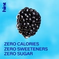 thumbnail image 5 of Hint Blackberry Flavored Water, 16 fl oz, 6 Pack Plastic Bottles, 5 of 9