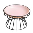 thumbnail image 4 of Elevated Cat Feeder Bowl Ceramic Dish Iron Rack Anti Slip Multipurpose Accessory I, 4 of 9