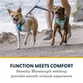 thumbnail image 4 of Acoplador Leash Extension Ruffwear de doble vía para 2 perros, 4 of 9