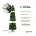 thumbnail image 4 of Árbol de Navidad Pino Canadiense Tipo Lápiz, Esquimal (Verde, 2.50 m), 4 of 6