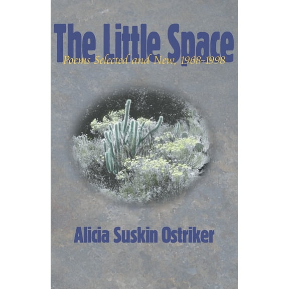 Pitt Poetry The Little Space: Poems Selected and New, 1968-1998, (Paperback)