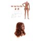 thumbnail image 1 of Femenina de Cuerpo Femenino de 12 Pulgadas con Busto Sin Costuras y Cabeza de Trigo SM SunniMix Cuerpo femenino sin costuras, 1 of 8