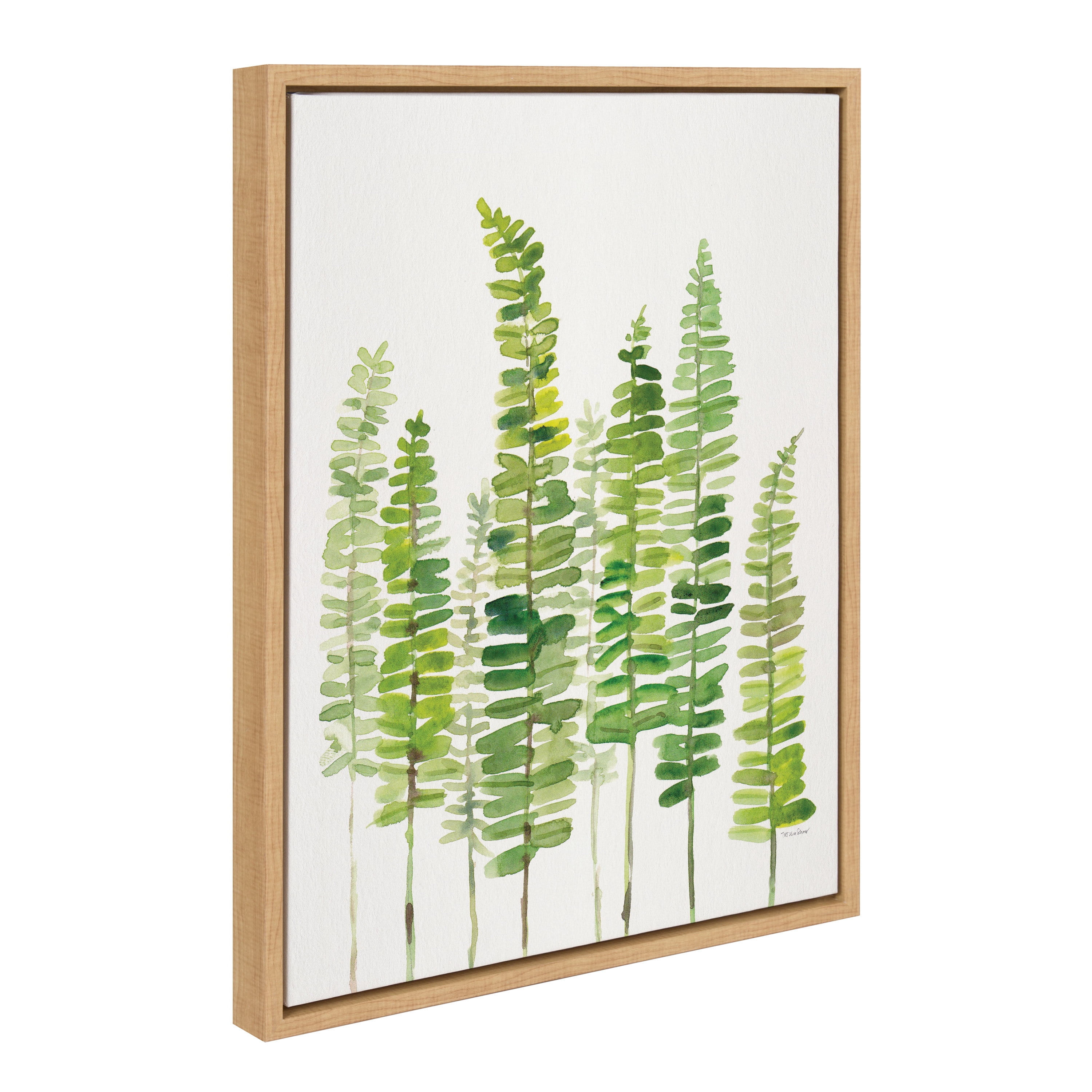 Kate and Laurel Sylvie Sword Ferns Framed Canvas Wall Art by Patricia Shaw 18x24 Natural Nature Themed Art for Wall
