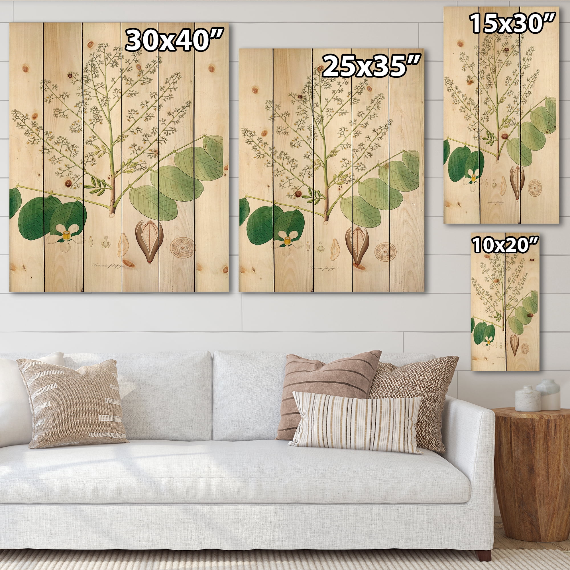 Designart 'Ancient Botanicals XVI' Farmhouse Print on Natural Pine Wood