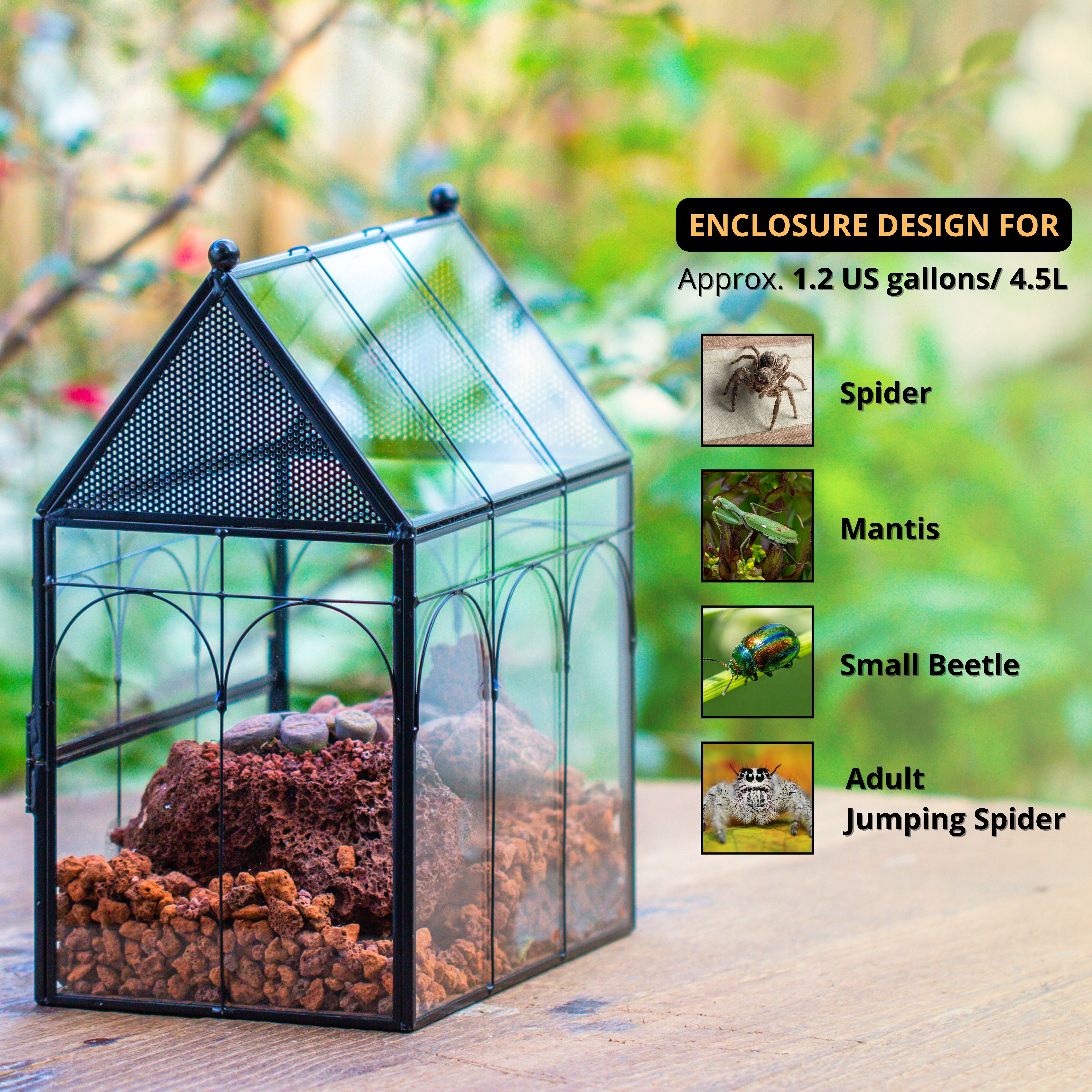 NCYP Glass Enclosure with Vent Holes for Insect, Spiders, Snails - 7.5" x 4.9" x 9", Small Closed Front Opening Door Succulent Terarium - House Shape Habitat, Home Decor Black (No Plants)