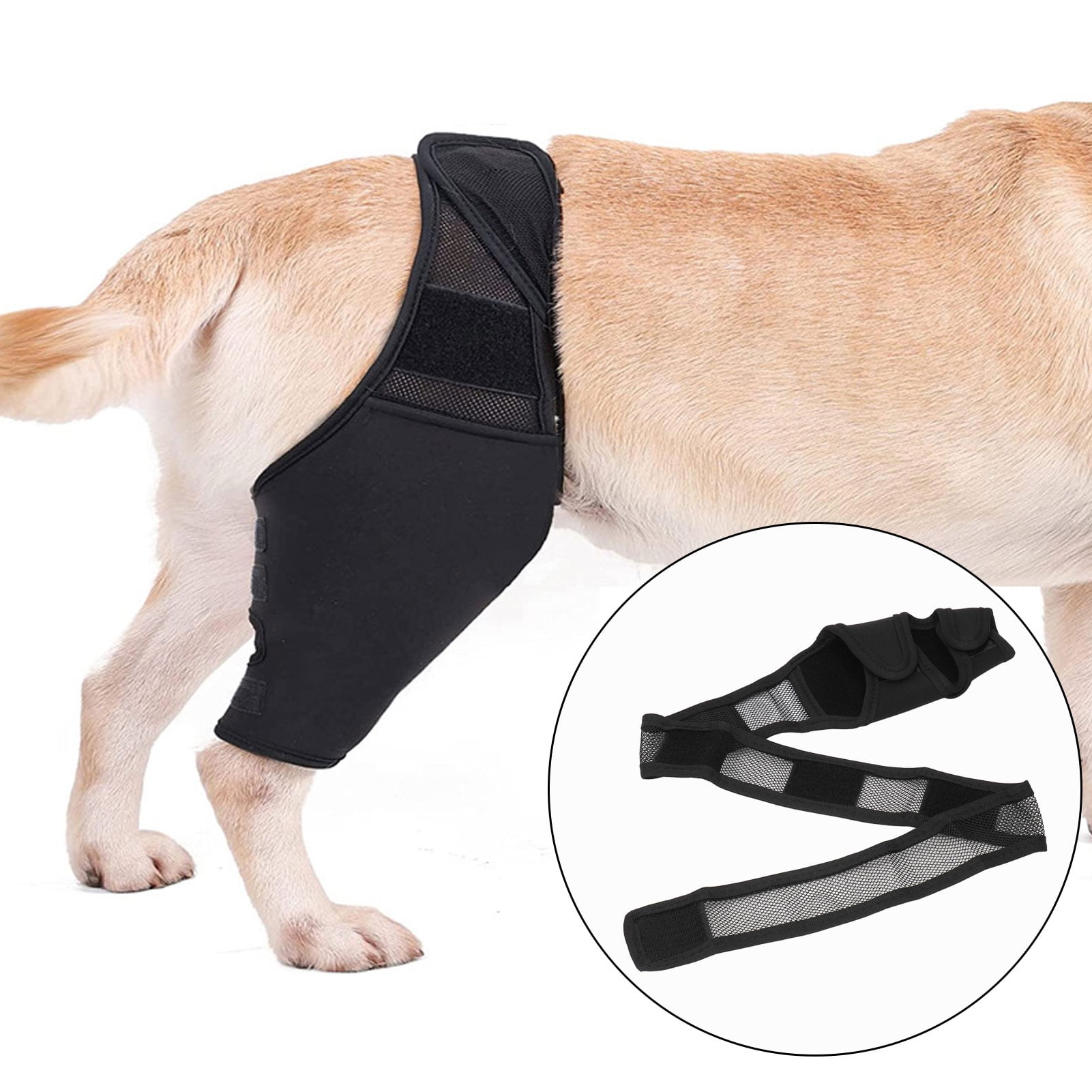 Double Knee Dog Knee Brace For Acl Tear Dog Knee Brace Support