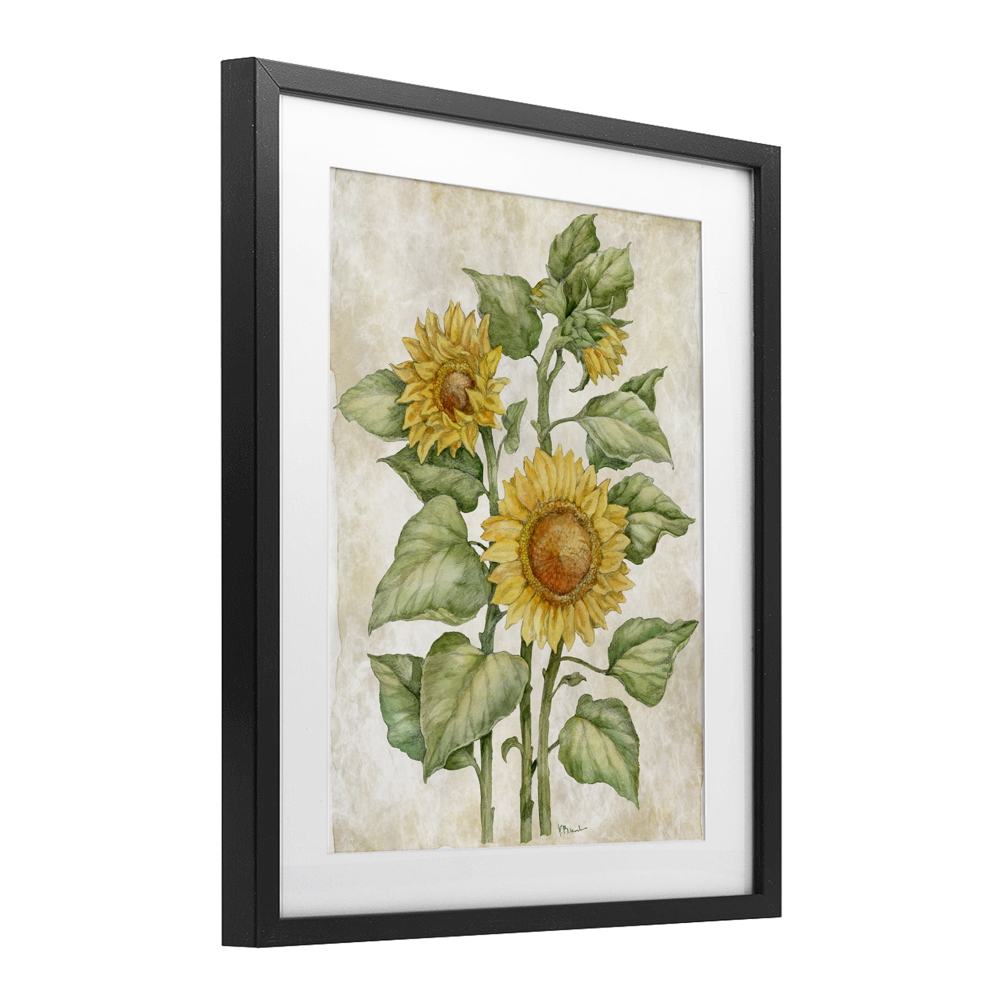 Stupell Industries Floral Journal Sunflower Black Framed Print Under Glass, design by Paul Brent
