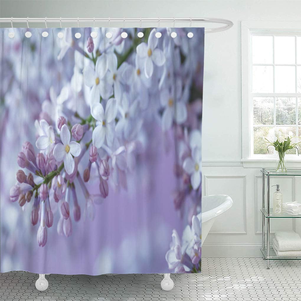 SUTTOM Spring Purple Bright The Lilac Flowers Bloom After Rain Shower