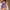 Blue, variant on UTSJKR Plus Size Tankini Swimsuits for Women 2 Piece Trendy Leopard Print Bathing Suits Summer Swimsuits for Beach Pool Blue XXXL