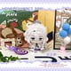 thumbnail image 3 of Juego Honkai Honkai: Star Rail Sunday Boothill Jing Yuan Luocha Gallagher Pepper Hill Muñeco de peluche de peluche Llavero de juguete, 3 of 5
