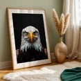 thumbnail image 6 of Eagle - Photography Wildlife Bird Animal Nature Portrait Patriotic Unframed Wall Art Print 20 x 30 inches, 6 of 60