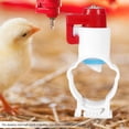 thumbnail image 3 of Pince à Poulet, Abreuvoir à Poulet, ABS Automatiques pour Canards de Caille, 3 of 8