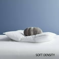 Legends Hotel Best Soft Density Duck Down Standard White Pillow