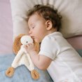 thumbnail image 4 of Early Education Toys for Kids Design Soft Fabric Educational Toy for Children Interactive Indoor Plaything for Development Ideal New Year, 4 of 4