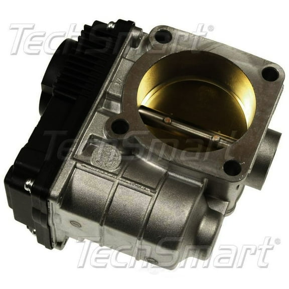 Fuel Injection Throttle Body Assembly