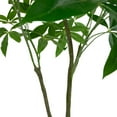 thumbnail image 6 of Northlight 4' Artificial Unbraided Potted Green Money Tree, 6 of 7