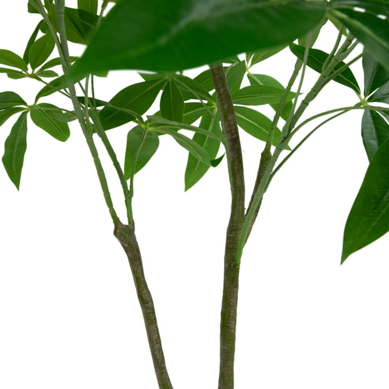 Northlight 4' Artificial Unbraided Potted Green Money Tree - Walmart.com
