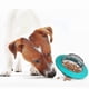 thumbnail image 3 of Flying Saucer Dog Game Discs Toys Cat Chew Leaking Slow Food Feeder Ball Puppy Iq Training Toy, 3 of 4