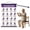 Purple (B), variant on Plertrvy Tai Chi Walking Workout Walking Workout Poster A, 60x40cm Exercise Wall Chart, Step Fitness Guide, Home Gym Instructional Wall Decor (Purple A)