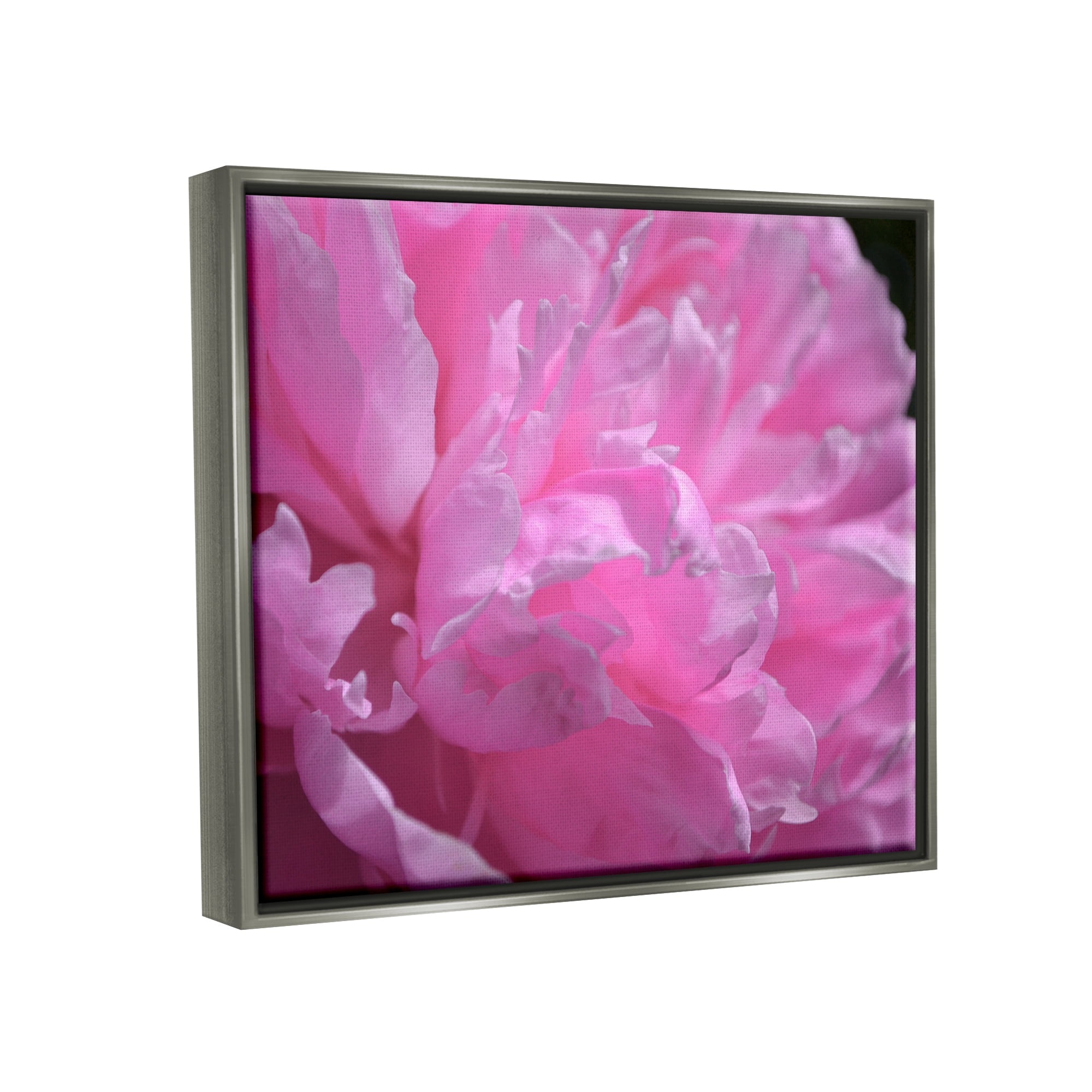 Stupell Industries Pink Carnation Photography Botanical & Floral Photography Gray Floater Framed Canvas Art Print Wall Art, 21 x 17