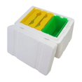 thumbnail image 3 of Xingzhi Bee Pollination Box Queen Bee Rearing Frames System Beekeeping DIY Style A 1Set, 3 of 6