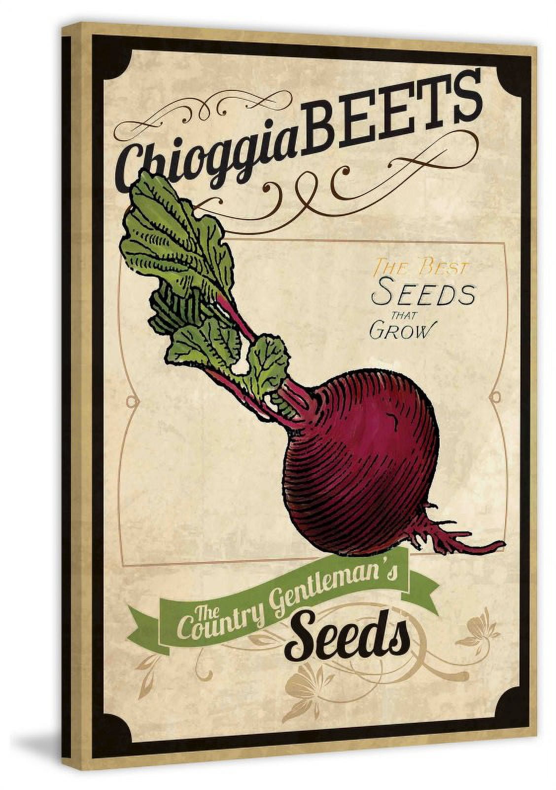 "Seed Packet Beet" Painting Print on Wrapped Canvas