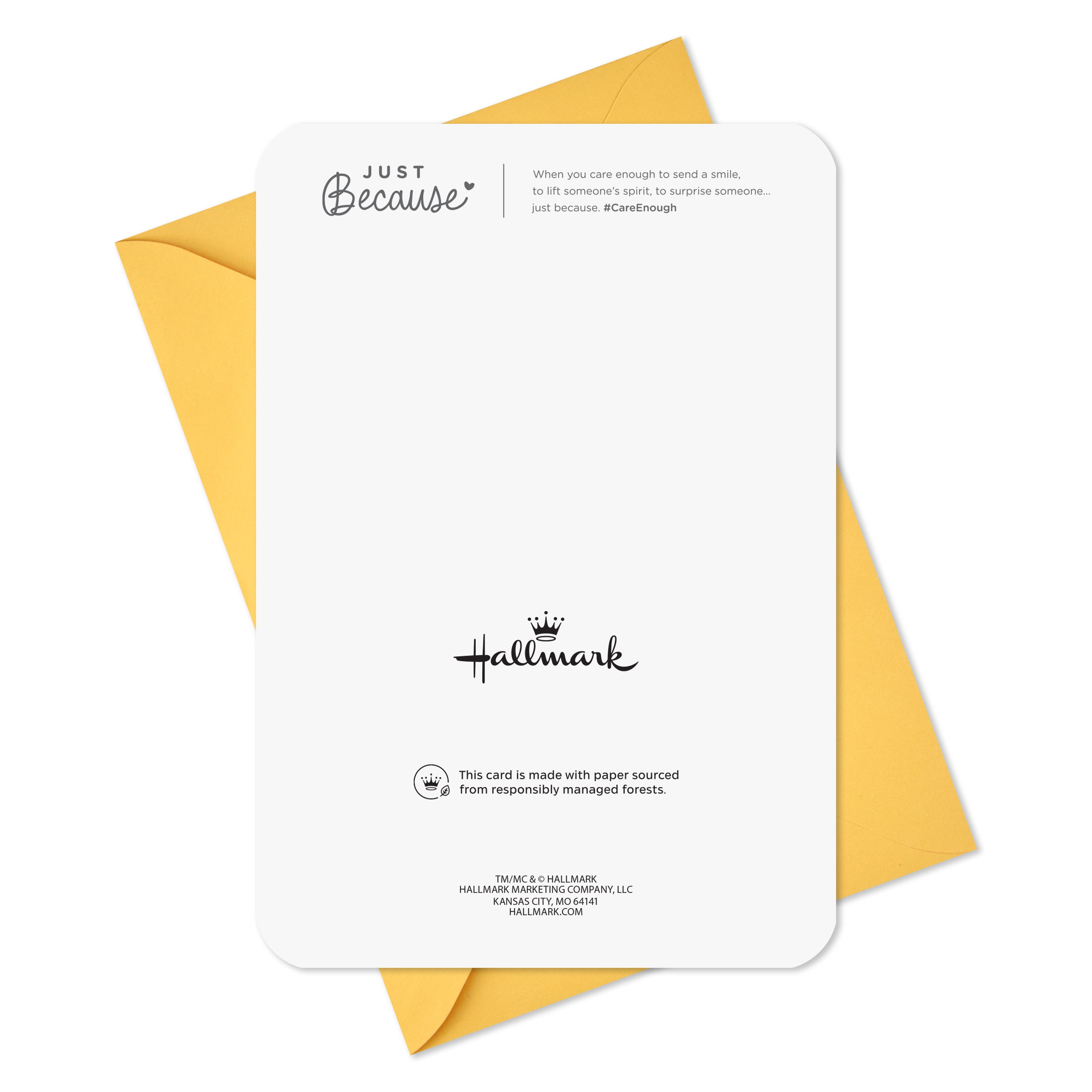 Hallmark Just Because Friendship Card (Flowers and Butterflies)