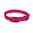 thumbnail image 2 of Hamilton 3/8" Single Thick Nylon Deluxe Dog Collar, 12 inch, Hot Pink, 2 of 3
