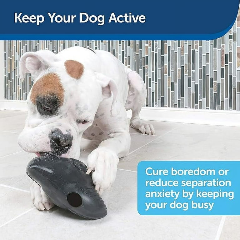 PetSafe Squeak 'n Treat Ninja Star Dog Chew Toy - Durable Rubber