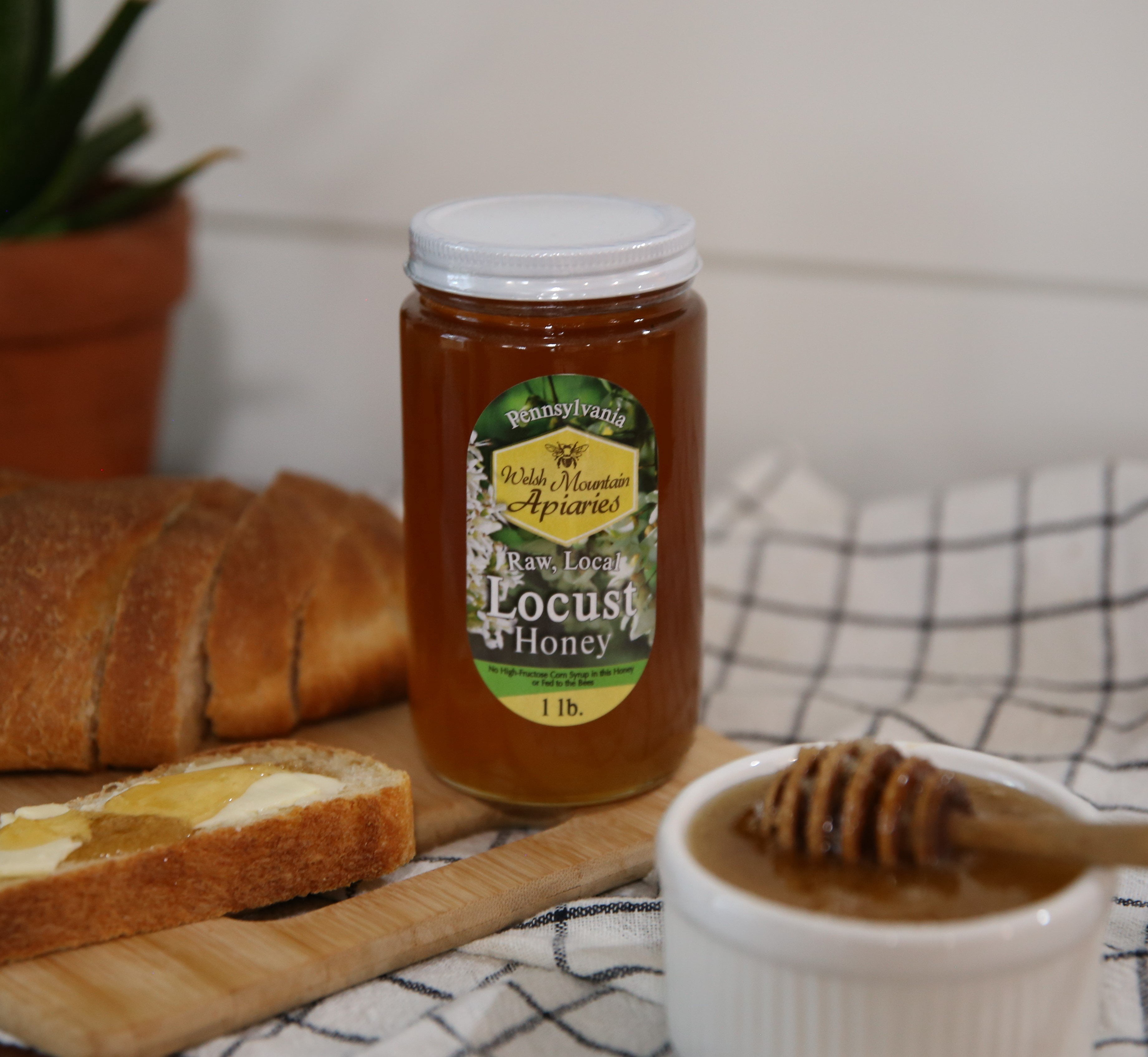 Pennsylvania Locust Honey by Welsh Mountain Apiaries, Raw and Unfiltered, Wild Forage Honey, 16 Ounce Jar